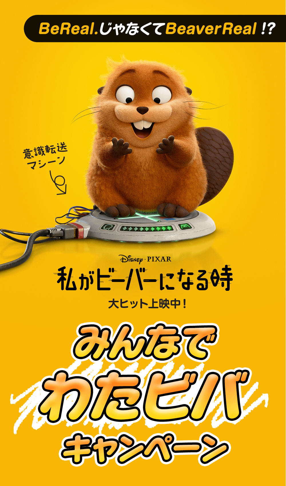 みんなでわたビバキャンペーン